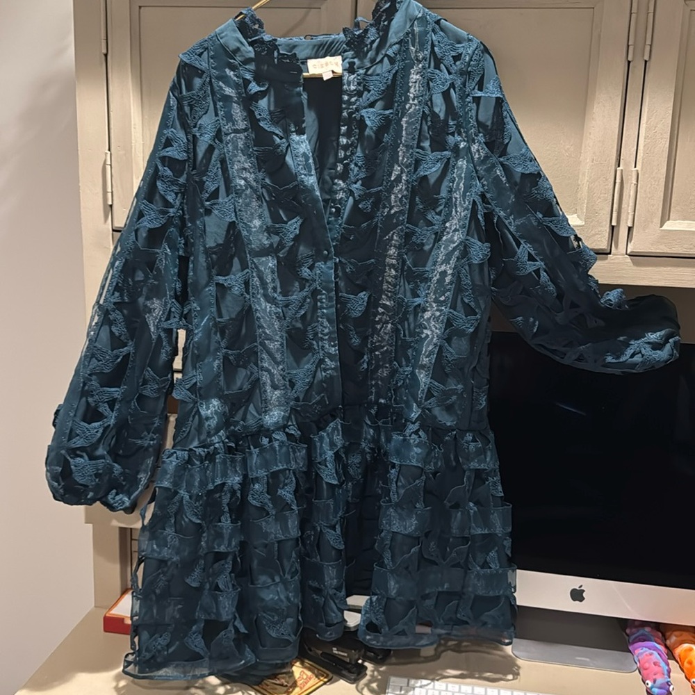 Gorgeous CIEBON Yvia Dragonfly Lace &
Organza Drop Waist Dress fr Nordstrom Sz L